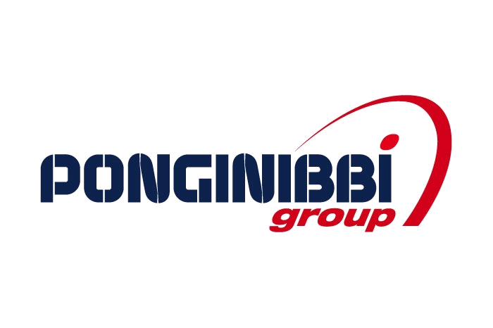 Ponginibbi Group